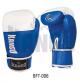 Перчатки боксерские Сине-белые,иск. кожа, BFT-006