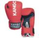 Перчатки боксерские KANGO FITNESS 7210